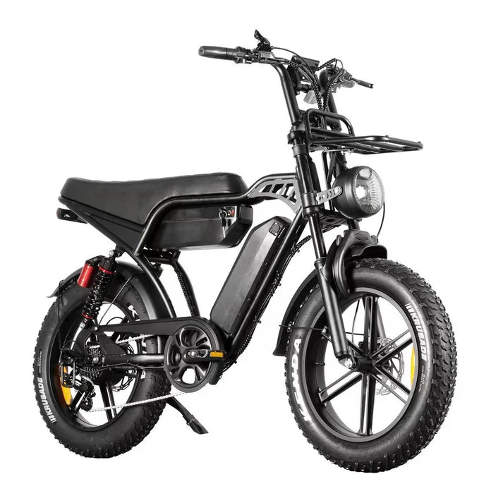 QmWheel V29 Pro Fatbike Dubbele Accu - Fatbike Company
