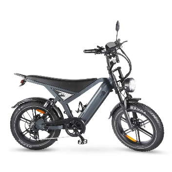 GT24 - Grijs - Fatbike Company
