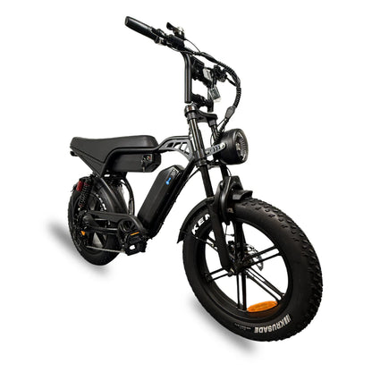 V29 Fatbike  Dubbele Accu - Fatbike Company